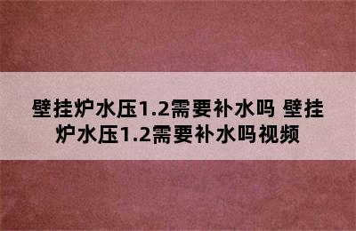 壁挂炉水压1.2需要补水吗 壁挂炉水压1.2需要补水吗视频